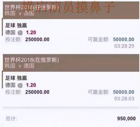 世界杯高清直播期间热门世界杯投注平台推荐整理与直播入口分析